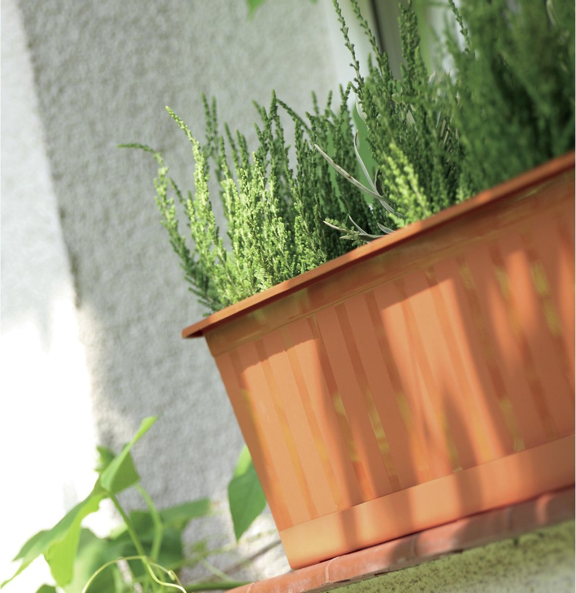 Prosperplast 2x Terracotta kunststof Agro plantenbakken/bloembakken 50 cm - Tuin decoraties - Bruin