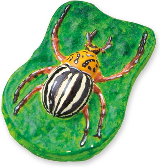 Ses gips enge beesten gieten en schilderen