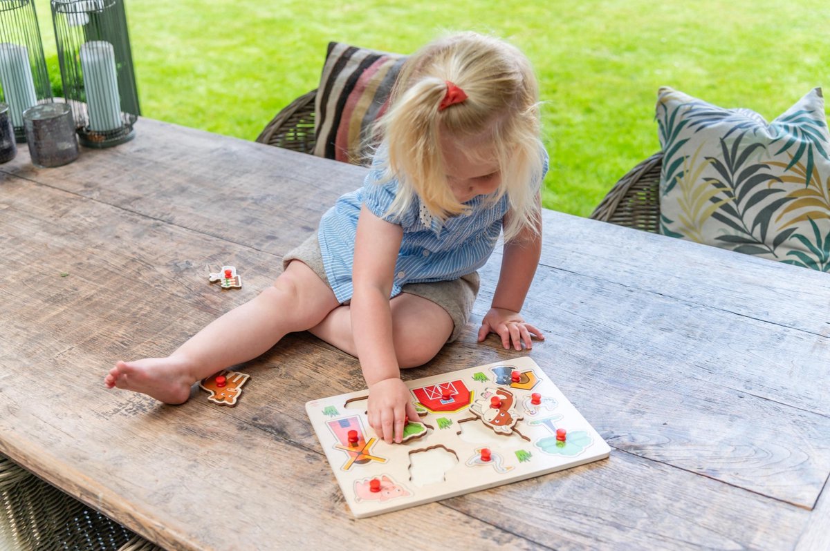 Engelhart Houten knopjes/noppen speelgoed puzzel boerderij thema 30 x 22 cm - Educatief speelgoed voor kinderen