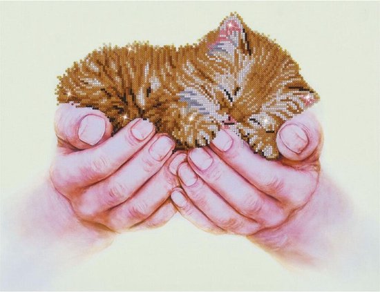 Top1Toys Precious Kitten Diamond Dotz - 52x40 cm - Diamond Painting