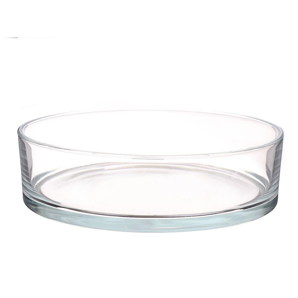 Lage schaal/vaas transparant rond glas 8 x 29 cm - cilindervormig - glazen vazen - woonaccessoires