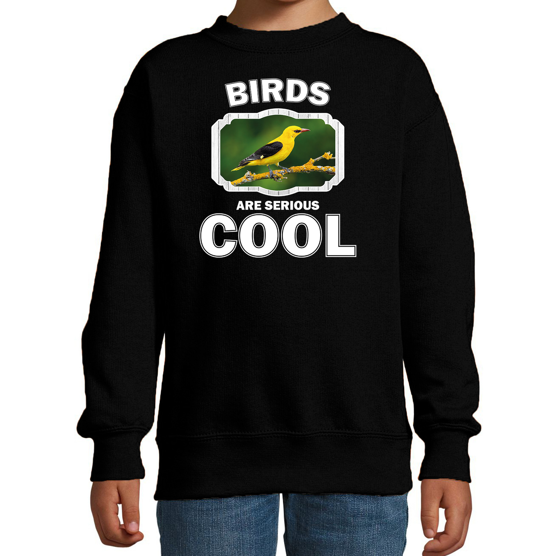 Bellatio Decorations Dieren vogels sweater kinderen - birds are serious cool trui jongens/ meisjes - cadeau wielewaal vogel/ vogels liefhebber - Zwart