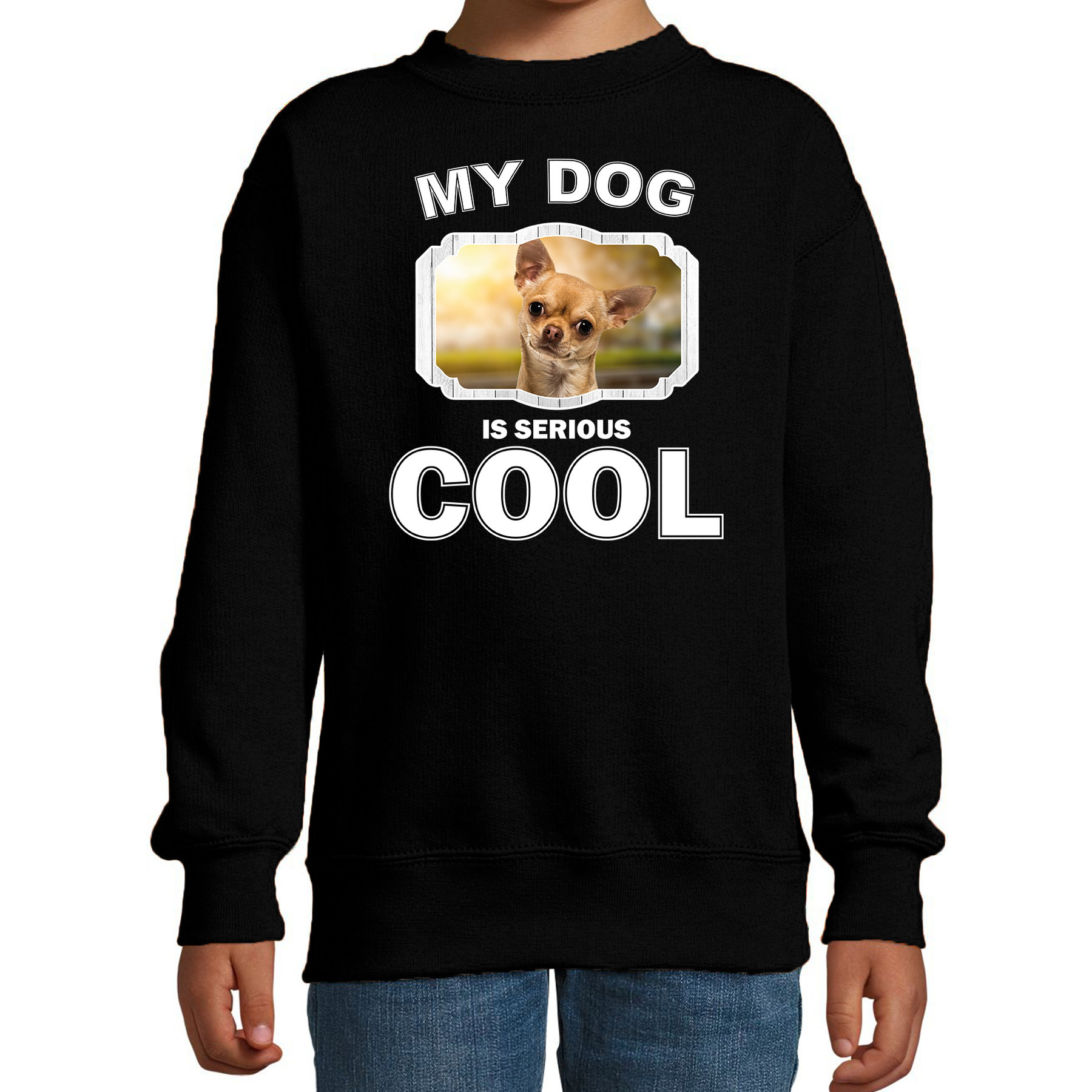 Bellatio Decorations Chihuahua honden trui / sweater my dog is serious cool - kinderen - Chihuahuas liefhebber cadeau sweaters - Zwart