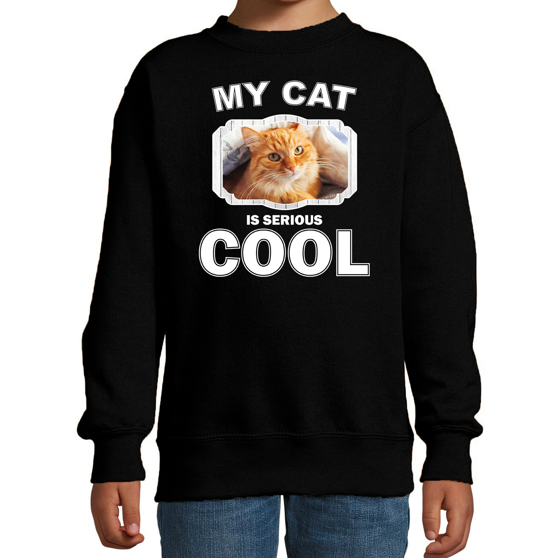 Bellatio Decorations Rode kat katten trui / sweater my cat is serious cool - kinderen - katten / poezen liefhebber cadeau sweaters - Zwart