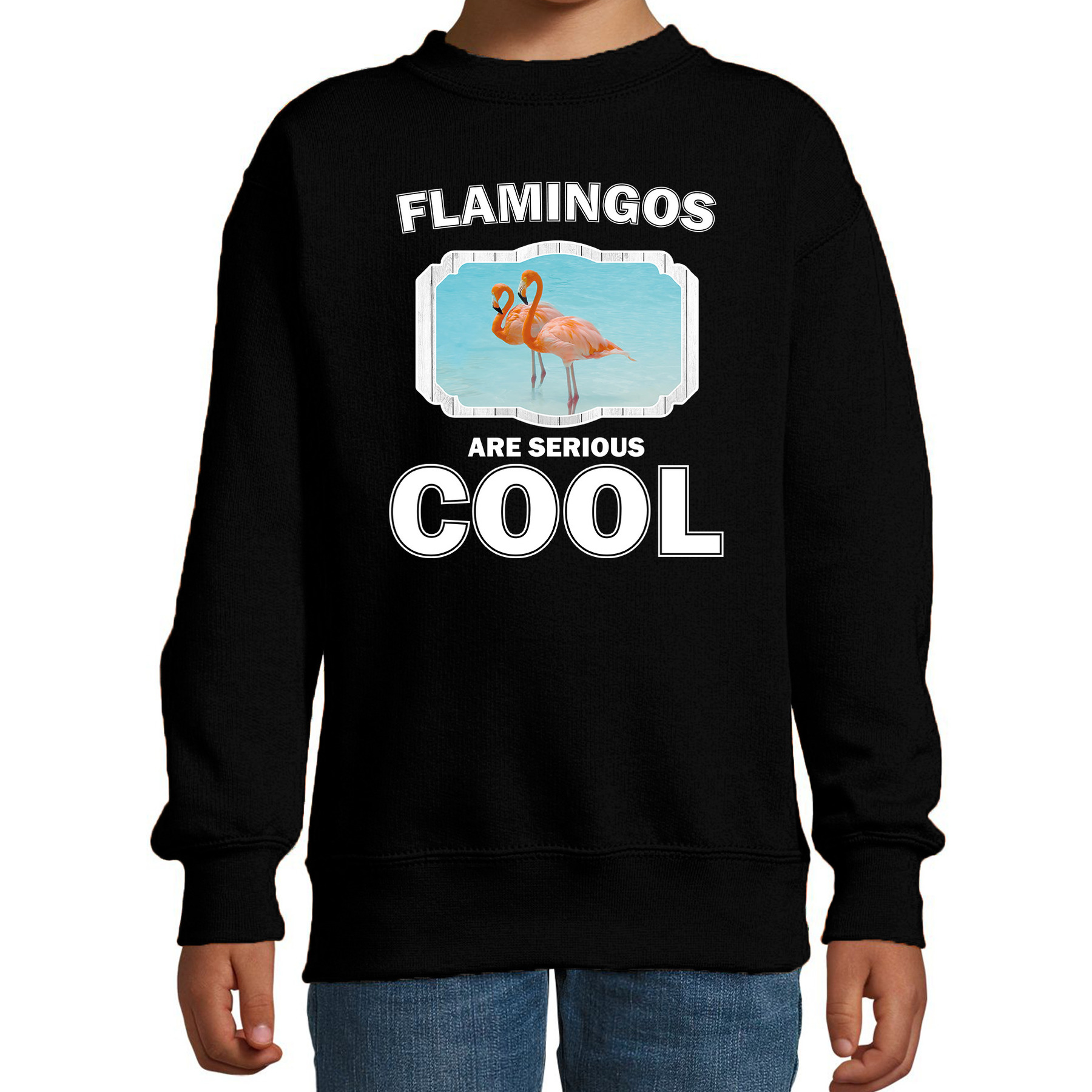 Bellatio Decorations Dieren flamingo vogels sweater kinderen - flamingos are serious cool trui jongens/ meisjes - cadeau flamingo/ flamingo vogels liefhebber - Zwart