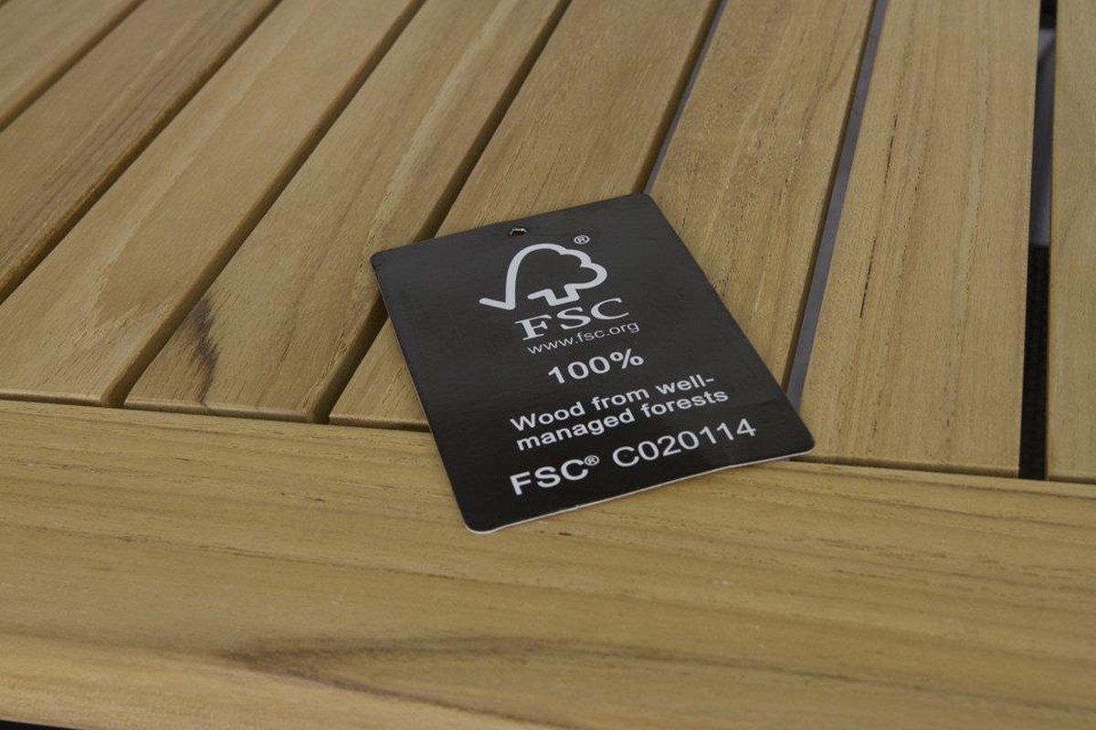 Hartman Sonata table 220x100x FSC 100% - Grijs