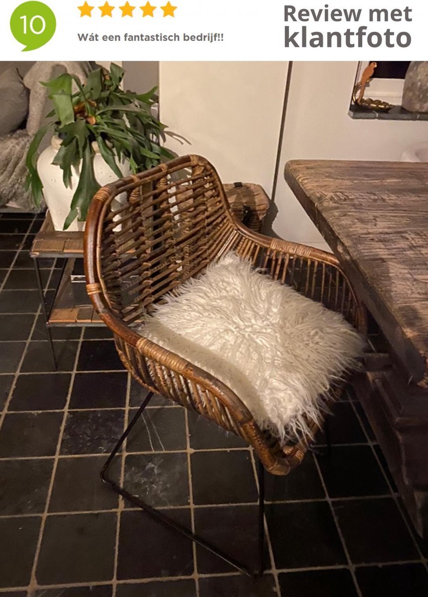 Van der Leeden Dining Stoel Iron Rattan L - Bruin