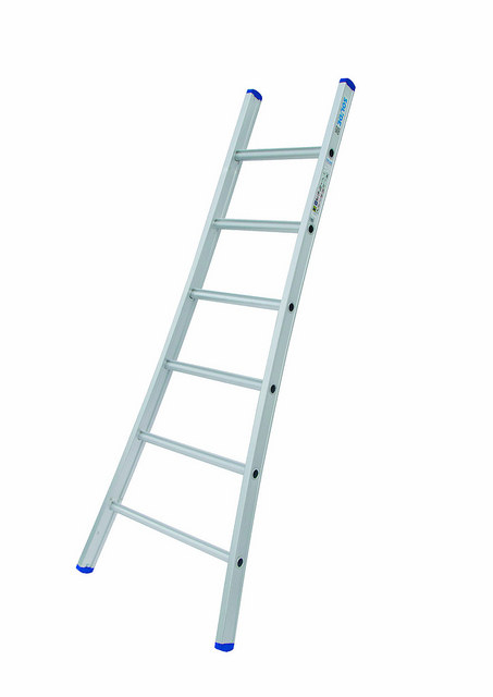 Solide Enkele Ladder 6 sporten
