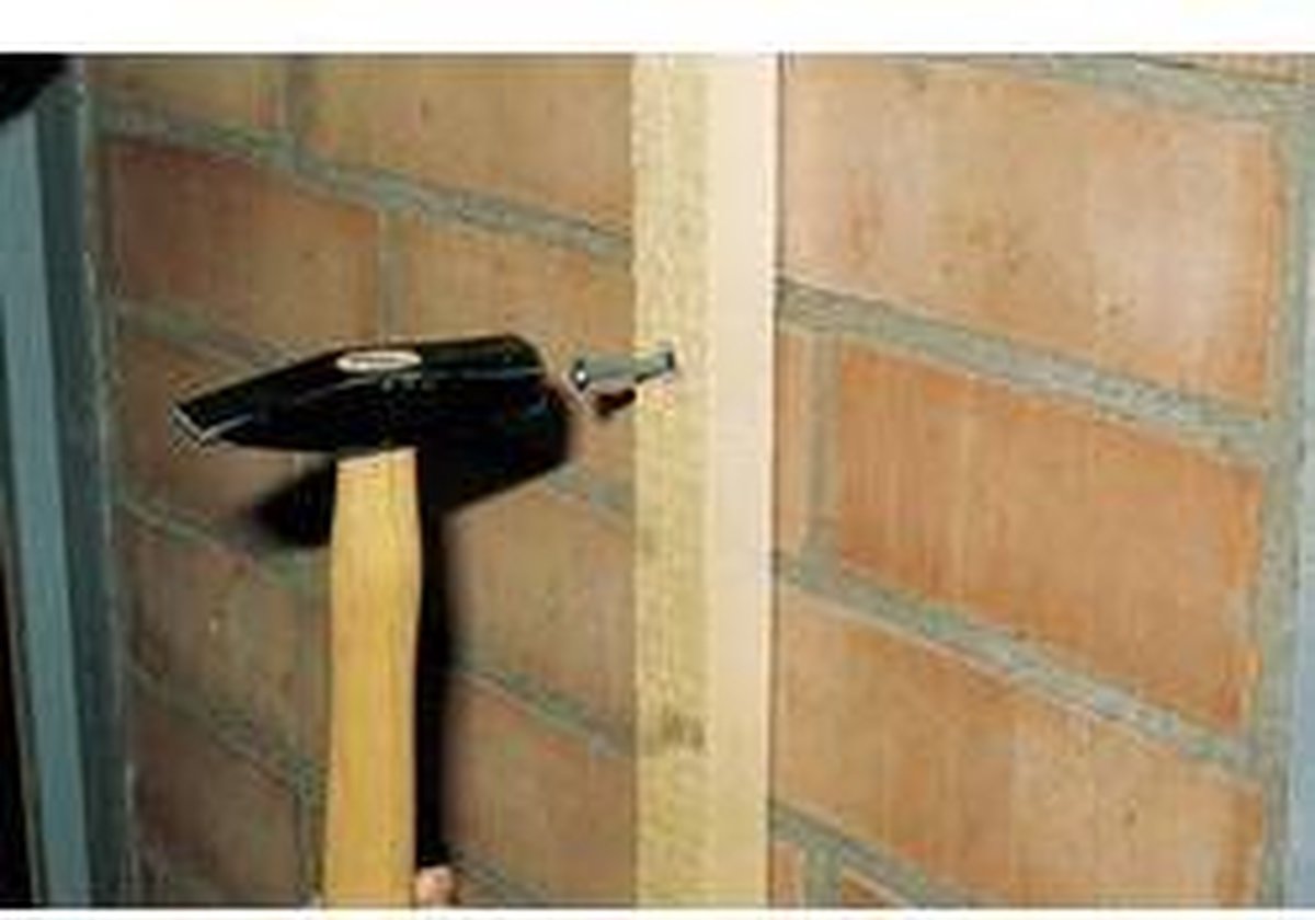 Fischer N 8X120/80 S NAGELPLUG 100 St