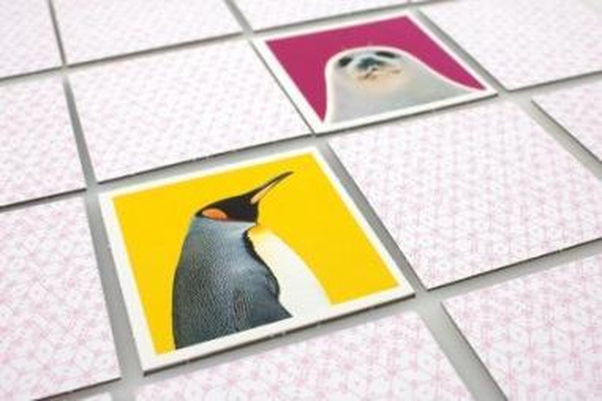 Tactic memory-spel Wildlife Memo
