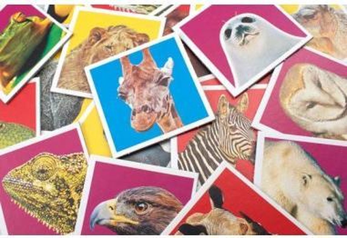 Tactic memory-spel Wildlife Memo