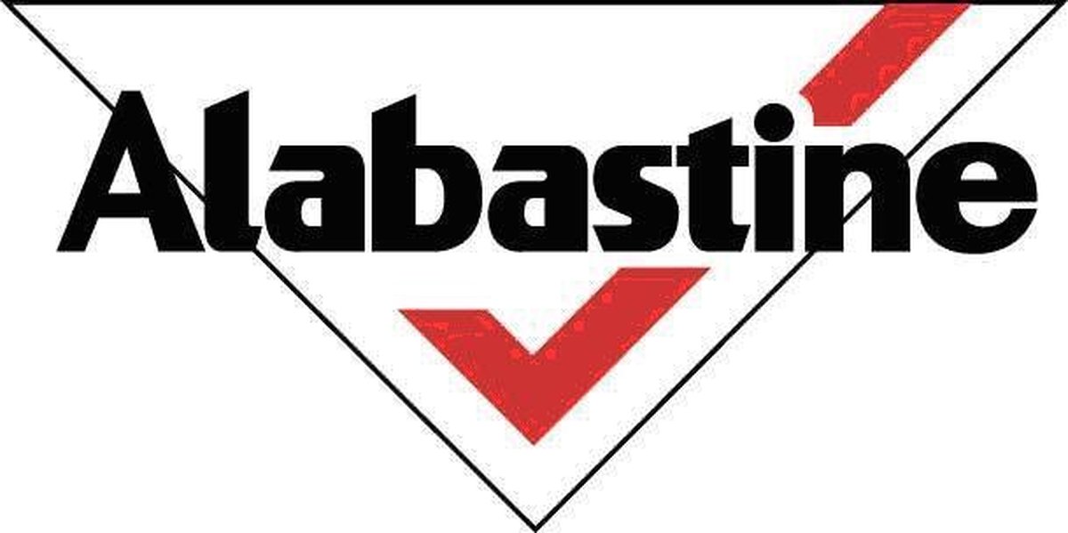 False Verfreiniger 500Ml - 5096139