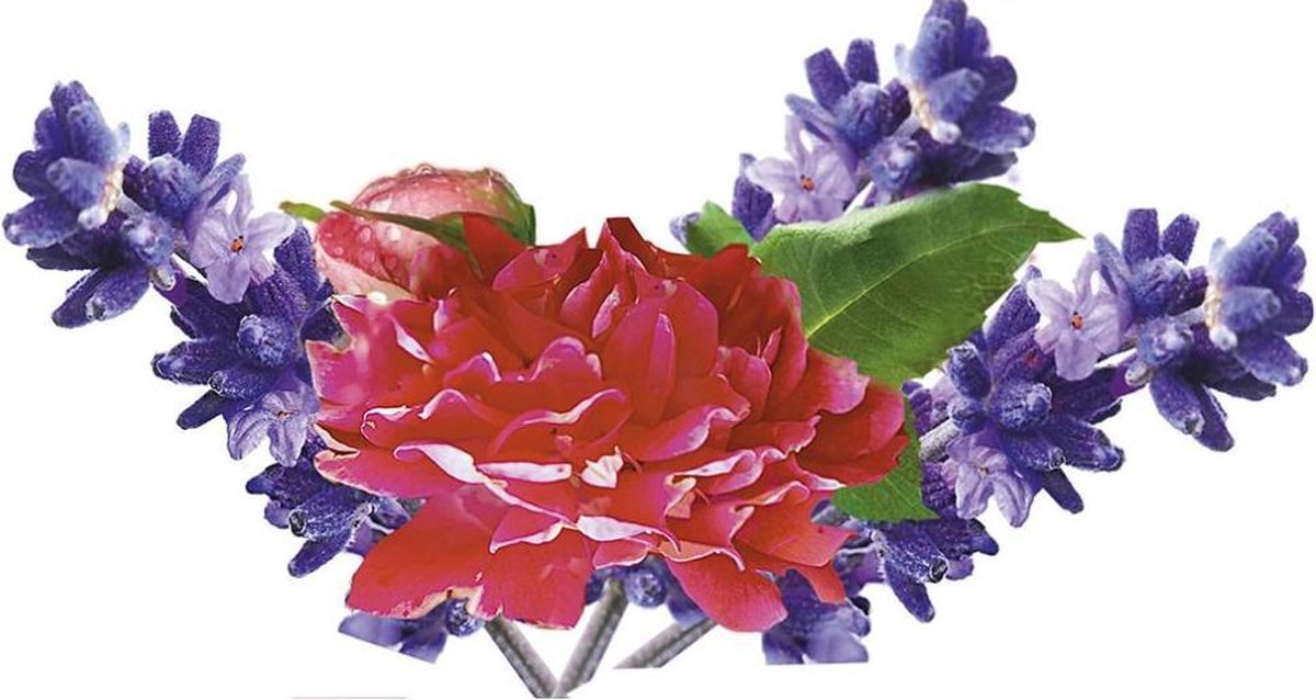 Kneipp Badolie Lavendel Bestekoop 100ml