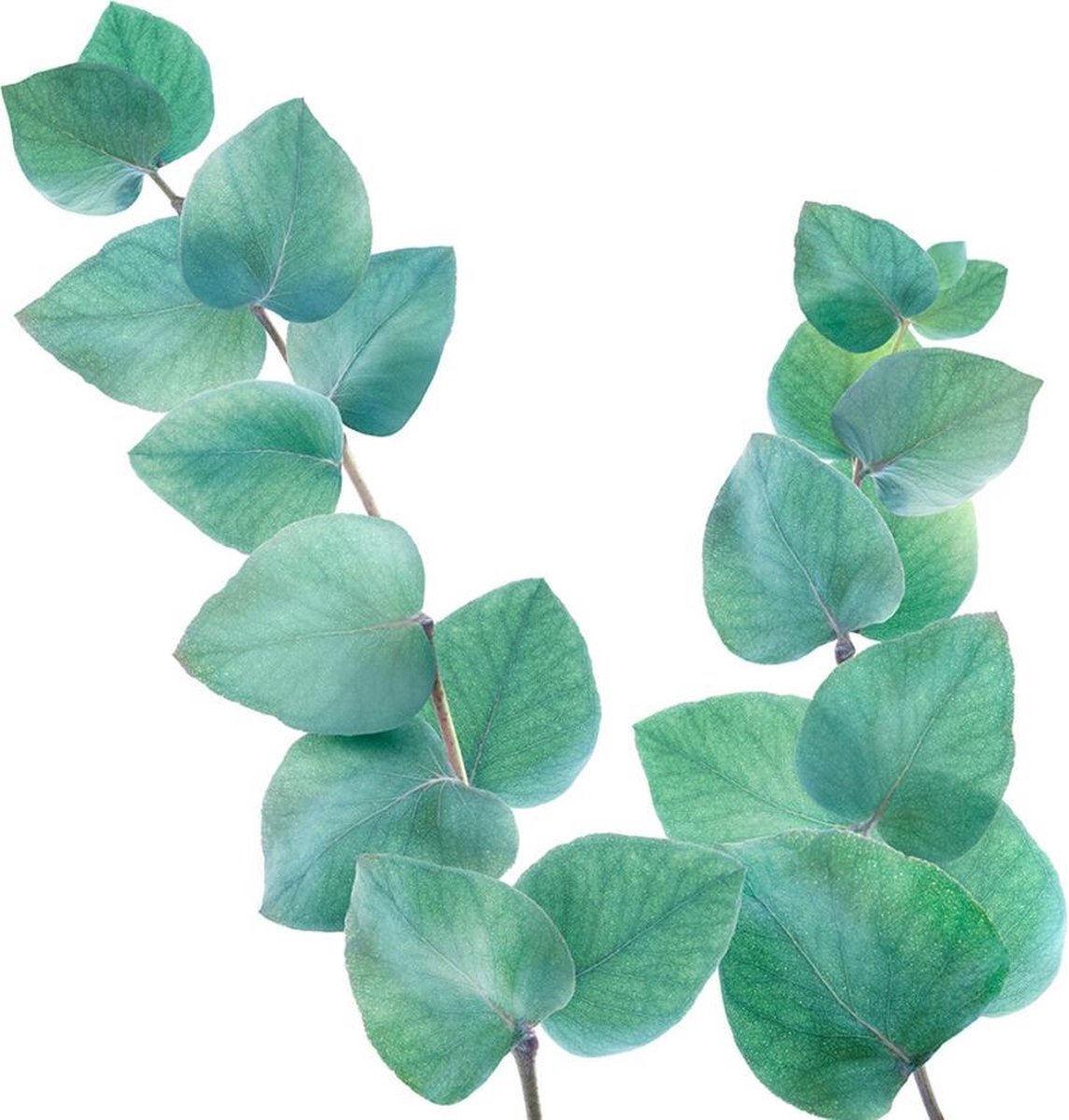 Kneipp Badolie Eucalyptus 100ml