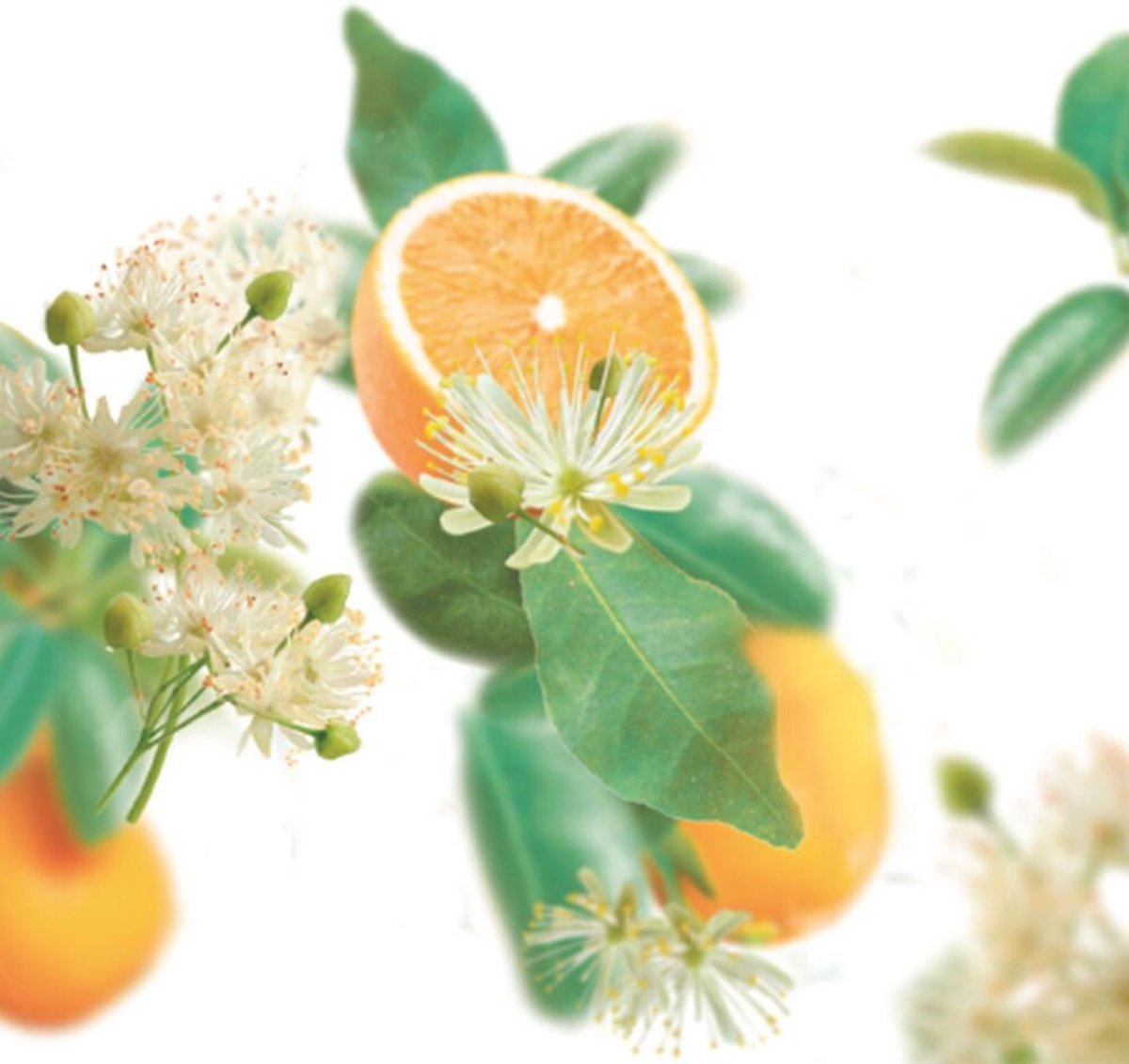 Kneipp Badolie Lindebloesem 100ml - Oranje