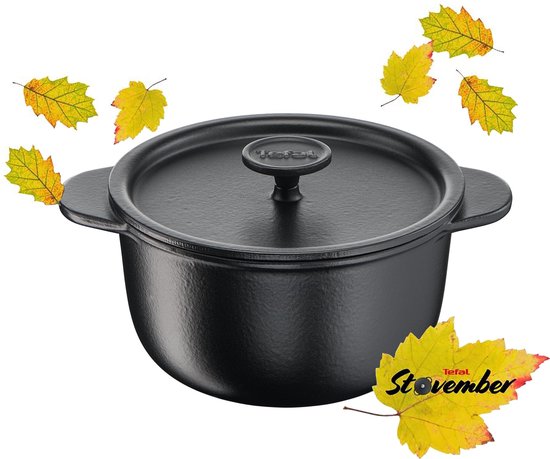 Tefal Tradition Gietijzeren Braadpan 20 cm - Zwart