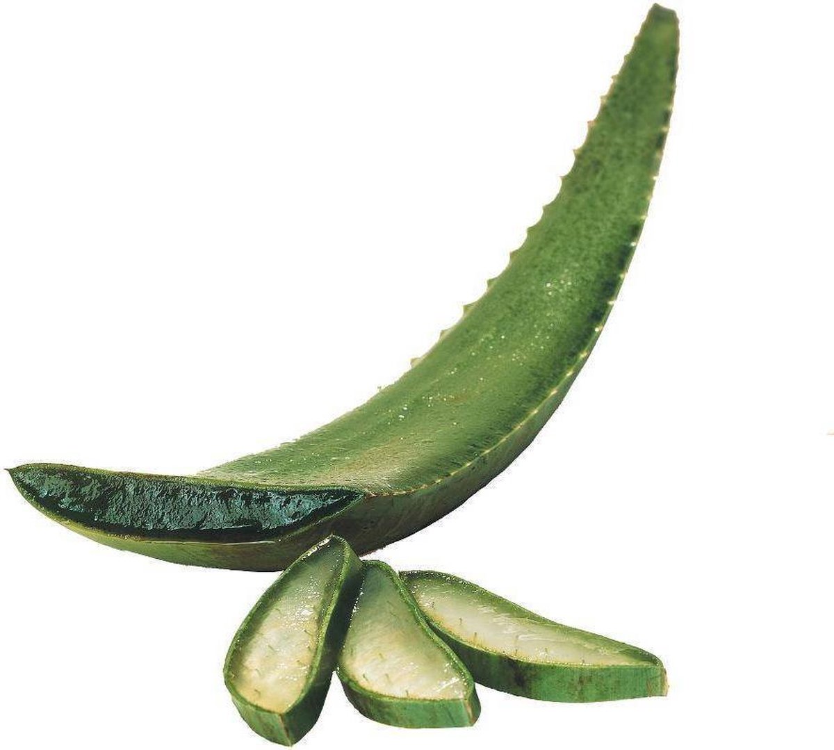 Santaverde Santa Xingu Age Perfect Oogcrème 10ml - Groen