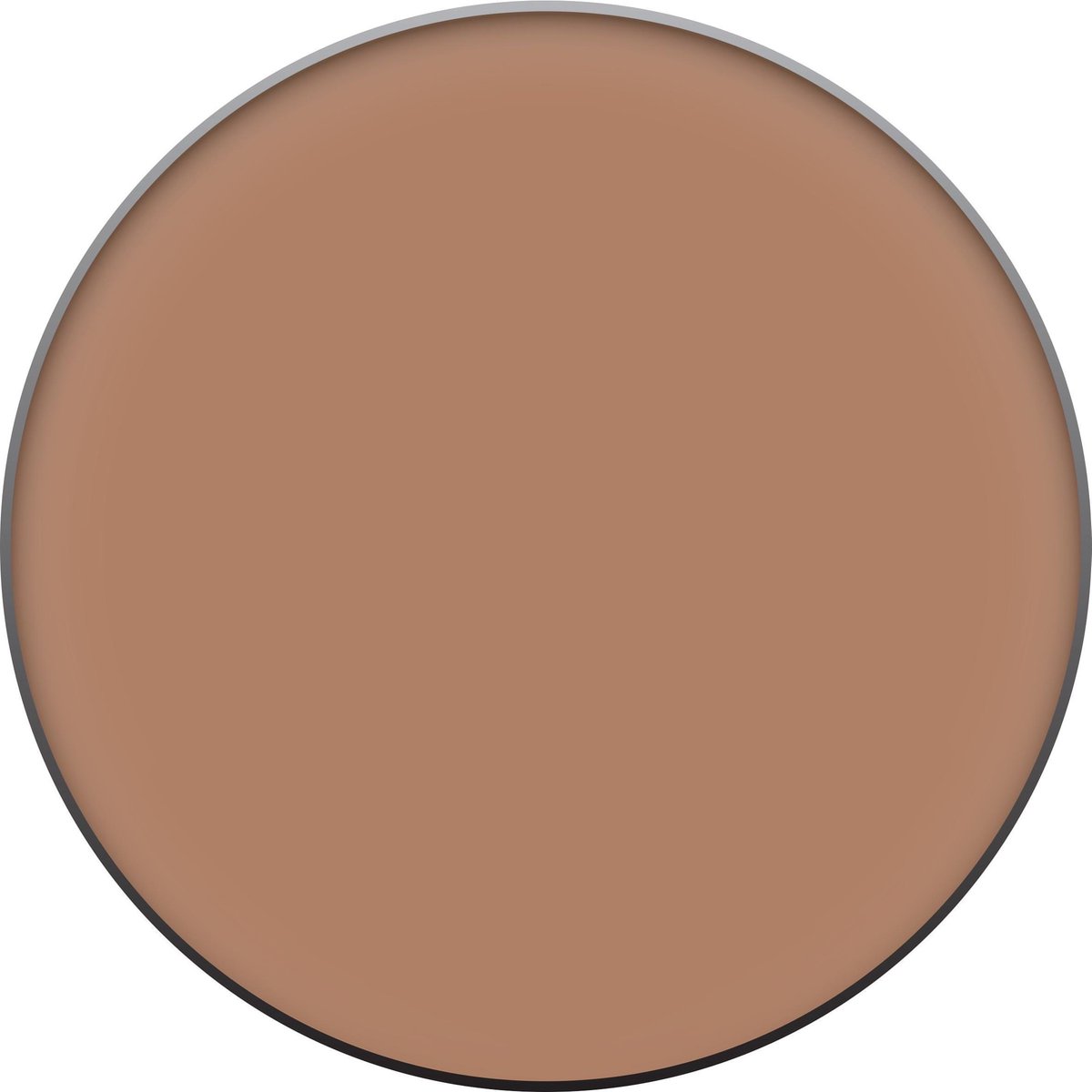 Christian Faye Irid Brown Eyebrow Powder Wenkbrauwpoeder 3g - Bruin