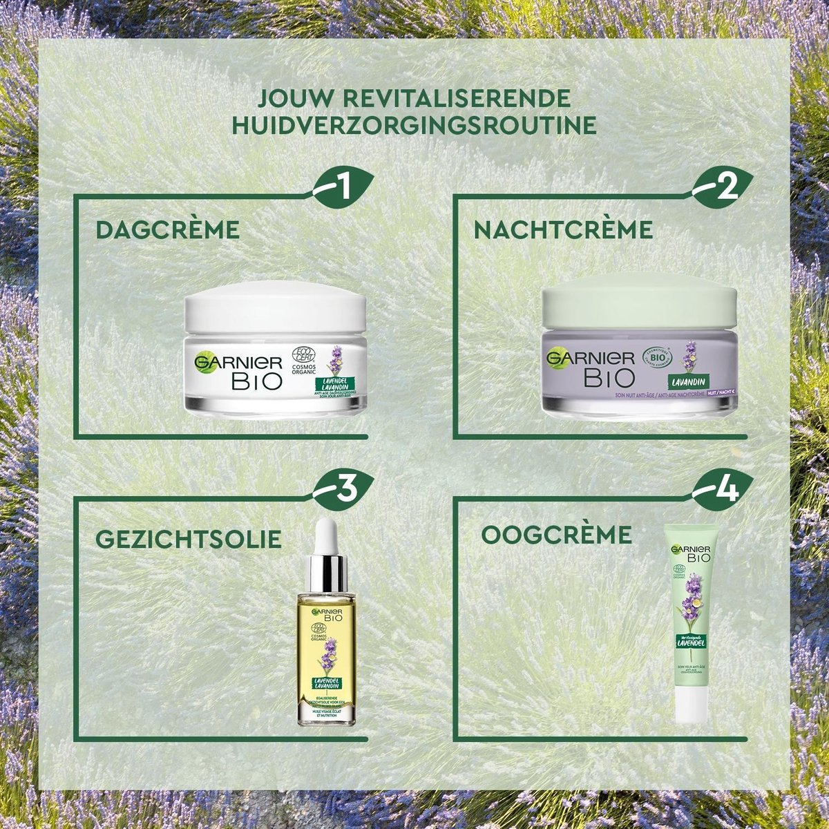 Garnier Dagverzorging met Revitaliserende Lavendel Gezichtscrème 50ml