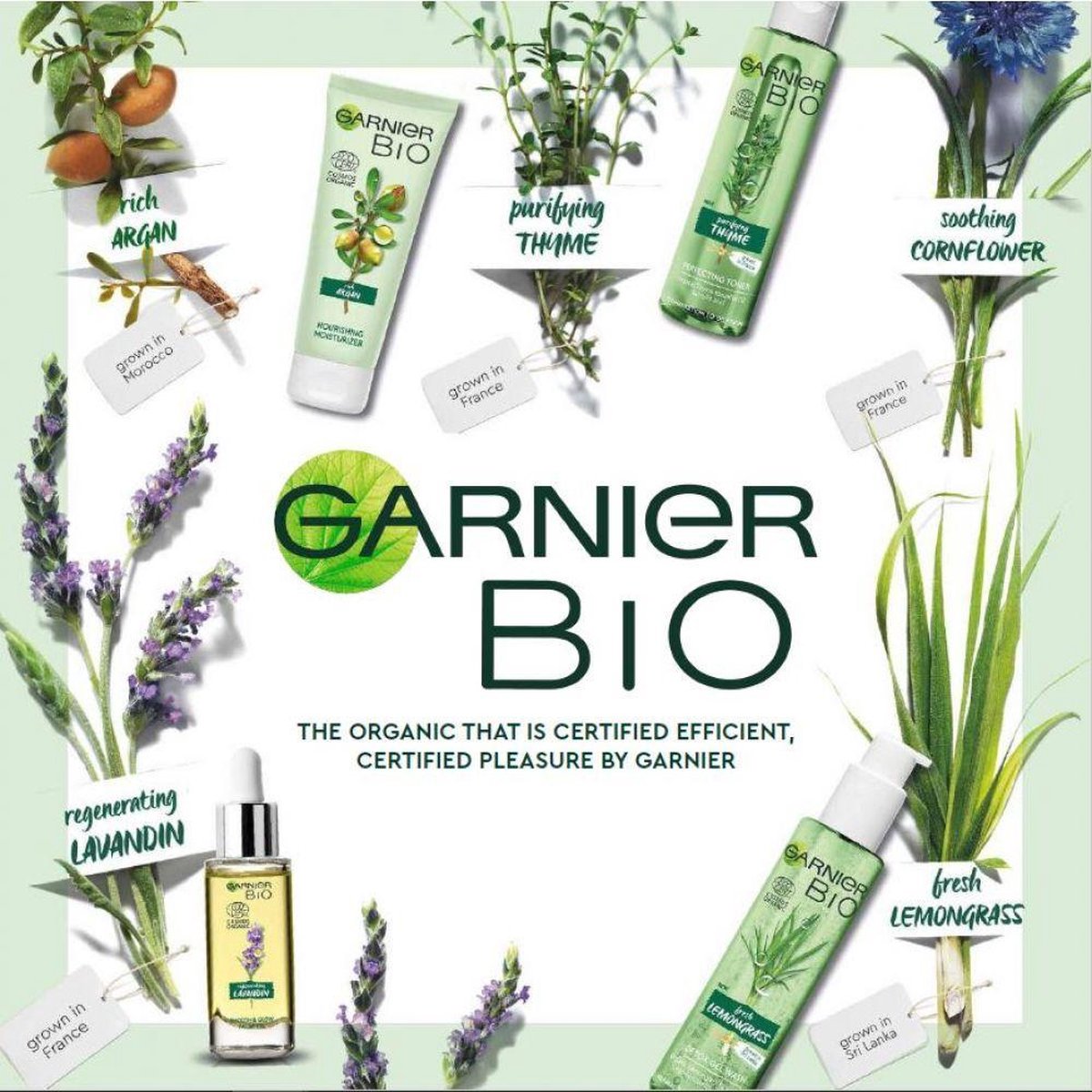 Garnier Dagverzorging met Revitaliserende Lavendel Gezichtscrème 50ml