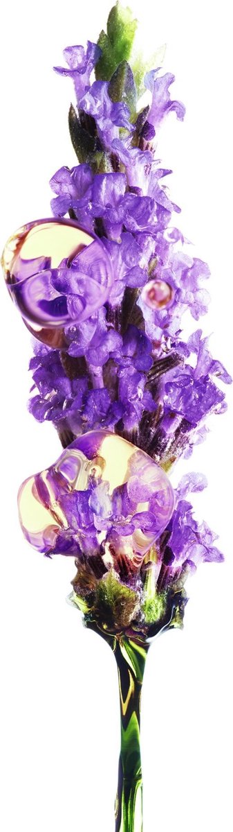 Garnier Dagverzorging met Revitaliserende Lavendel Gezichtscrème 50ml