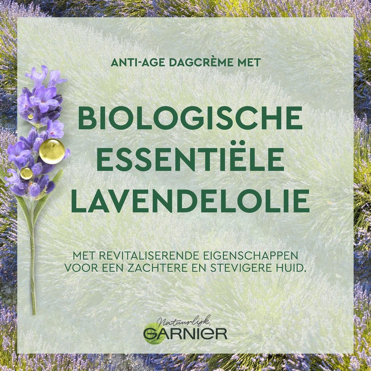 Garnier Dagverzorging met Revitaliserende Lavendel Gezichtscrème 50ml