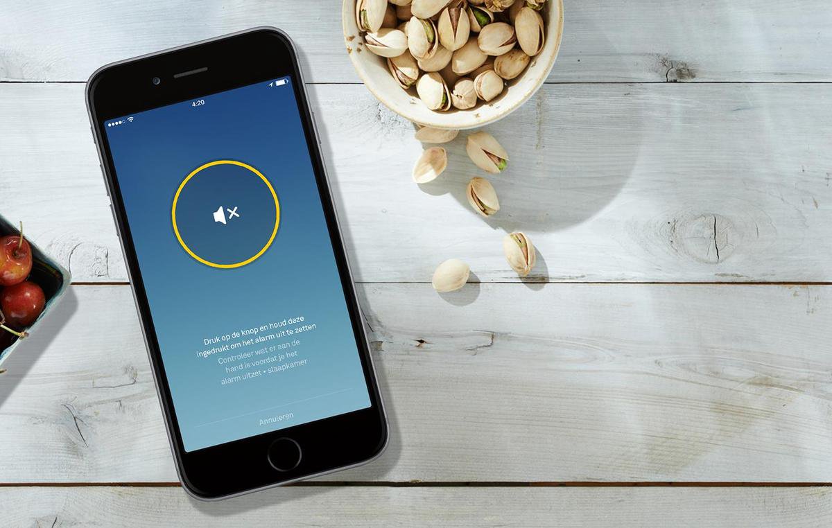 Google Protect V2 Batterij