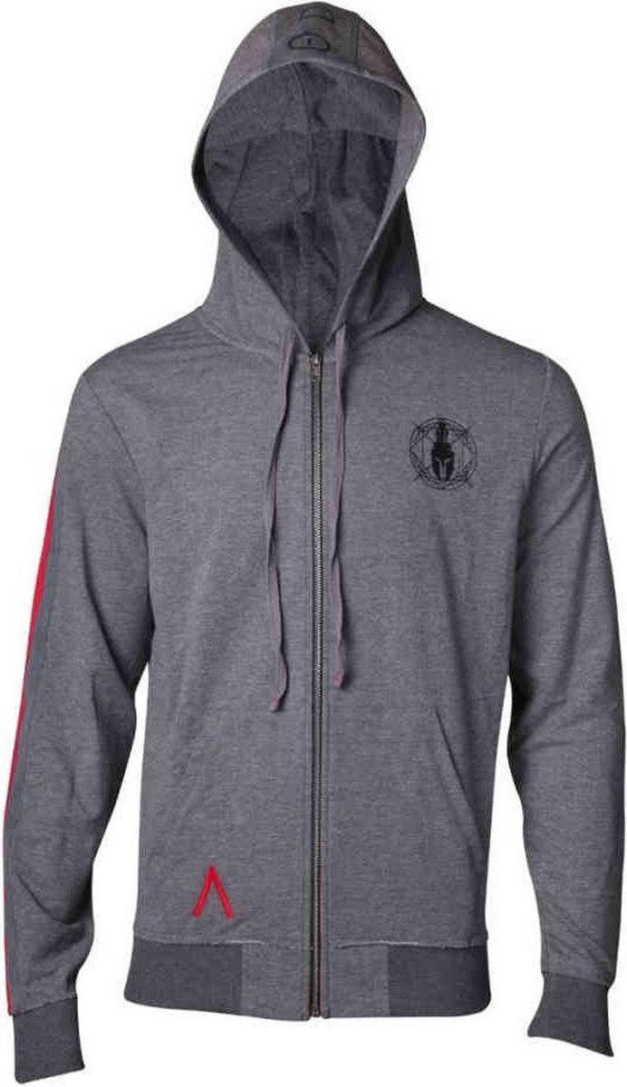Difuzed Assassin's Creed Odyssey - Taped Sleeve Hoodie