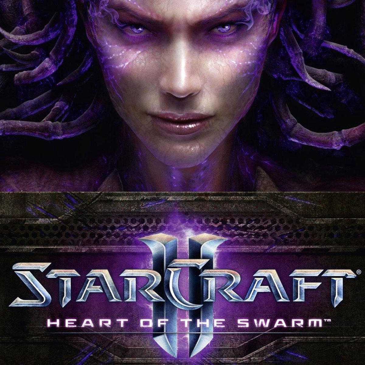 Blizzard Starcraft 2 Heart of the Swarm (Add-On)