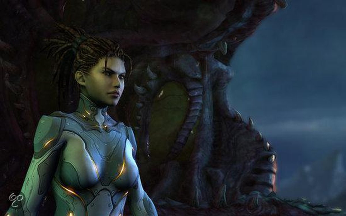 Blizzard Starcraft 2 Heart of the Swarm (Add-On)