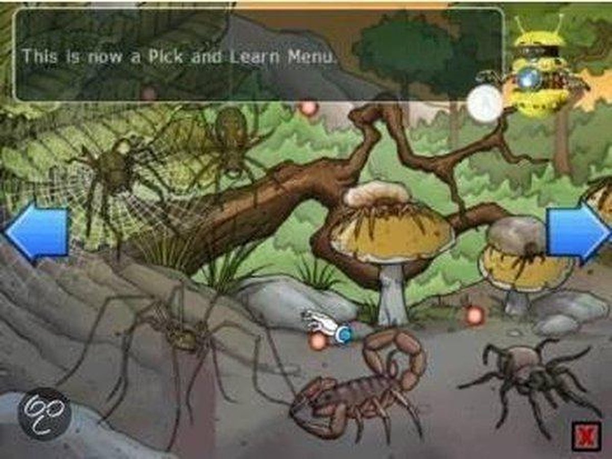 Midas Clever Kids Creepy Crawlies