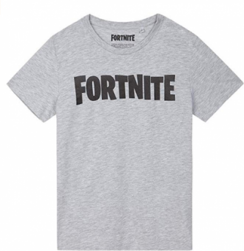 Hole in the Wall Fortnite - Logo Grey T-Shirt