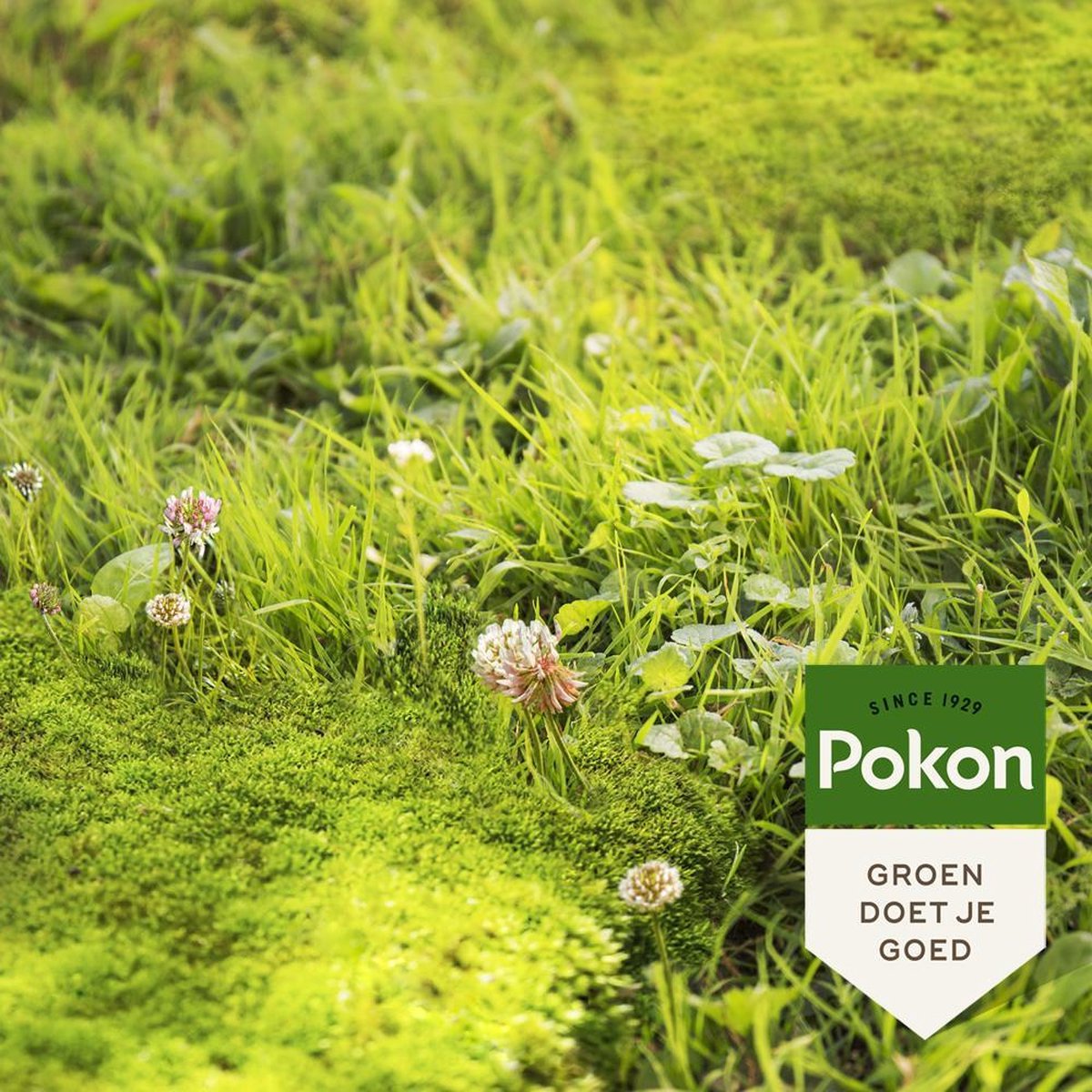 Pokon Mos en Onkruid Weg! 25m2