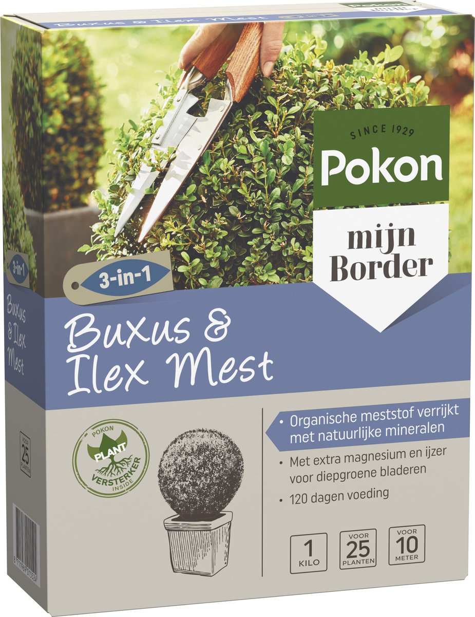 Pokon Buxus & Ilex Mest 1kg