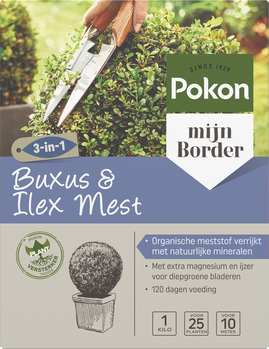 Pokon Buxus & Ilex Mest 1kg