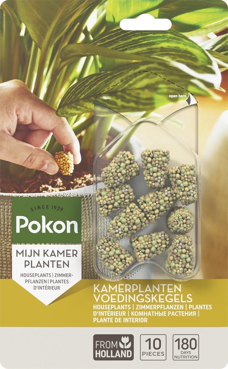 Pokon Kamerplanten Voedingskegels 10st