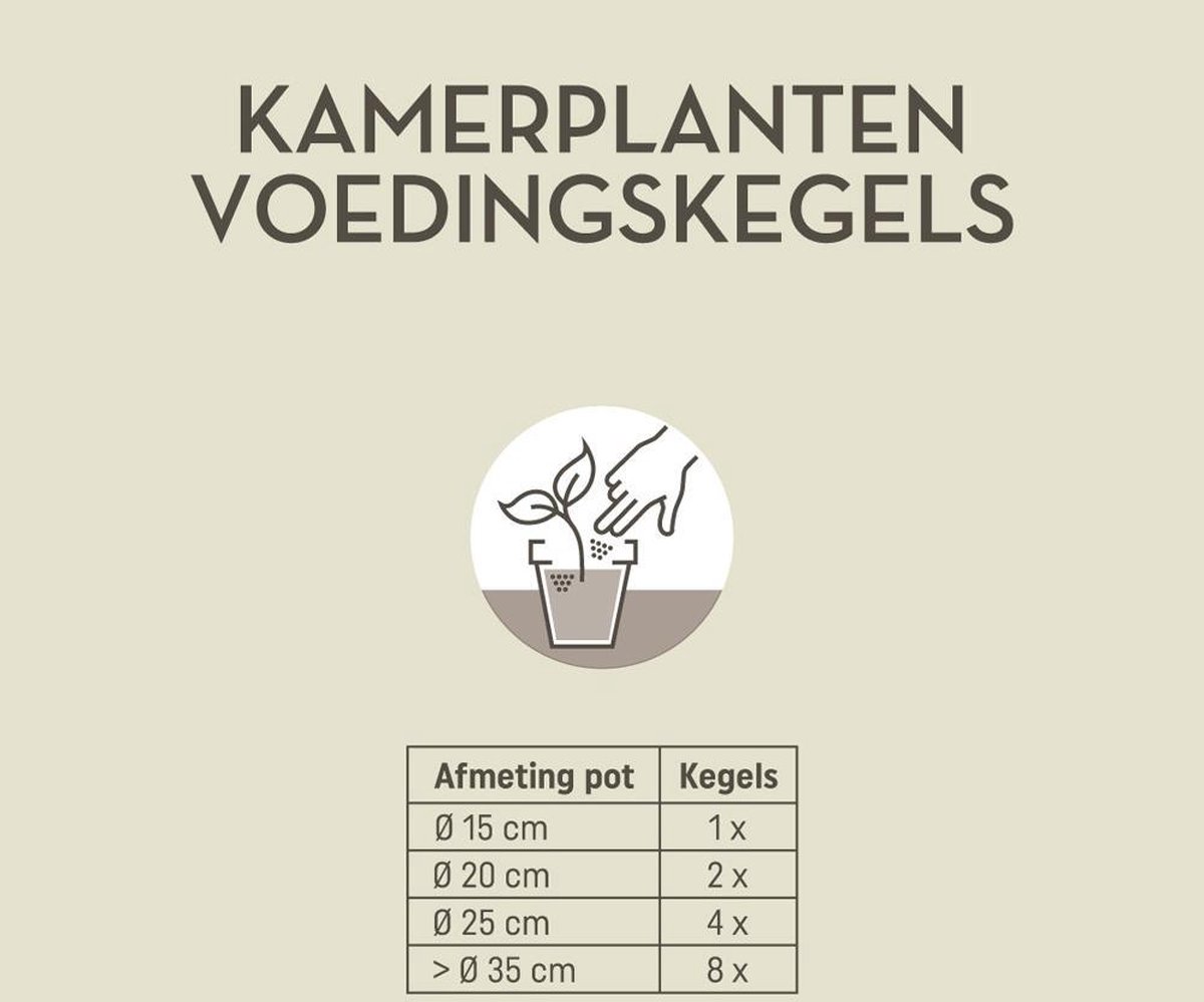 Pokon Kamerplanten Voedingskegels 10st