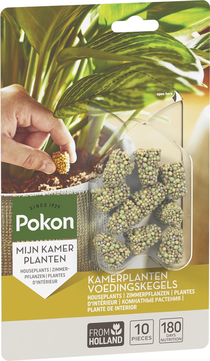Pokon Kamerplanten Voedingskegels 10st