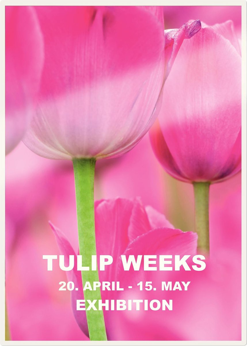 Leitz Lamineerhoes iLAM UDT warm A3 125 micron