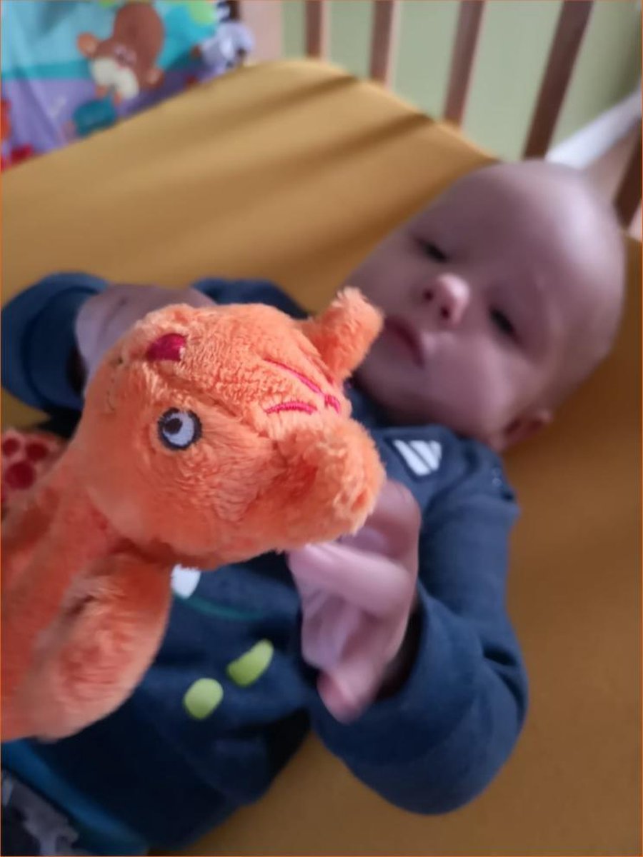 Happy Horse Dikkie Dik Tuttle - Oranje