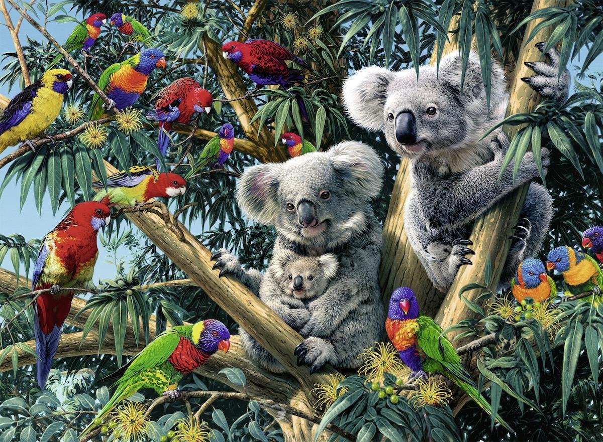 Ravensburger - Koalas In De Boom (500)