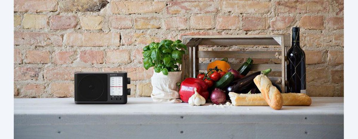 Sony ICF-506 - Zwart