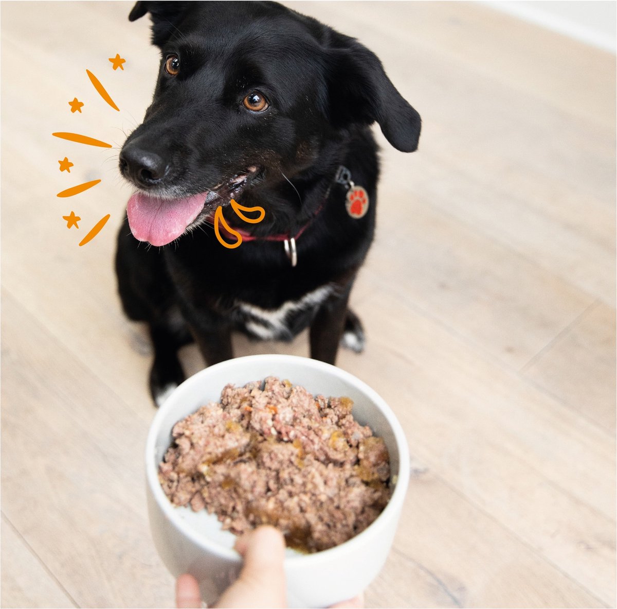 Edgard&Cooper Kuipjes Multipack Adult Chicken Lamb - Hondenvoer - Kip Lam 4x300 g