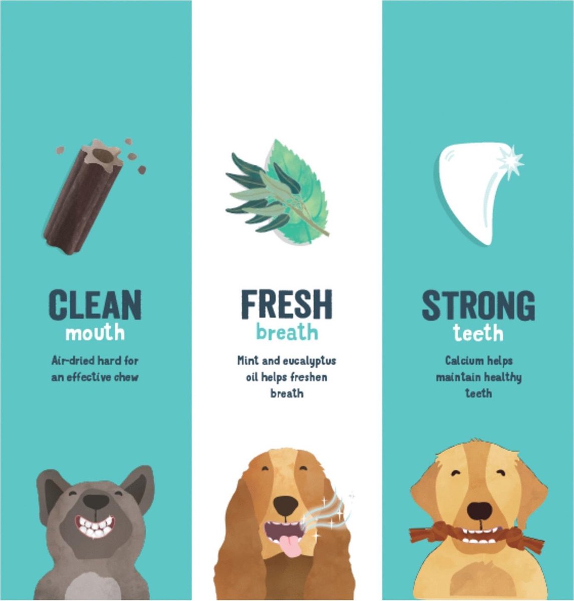 Edgard&Cooper Doggy Dental Aardbei&Munt - Hondensnacks - S