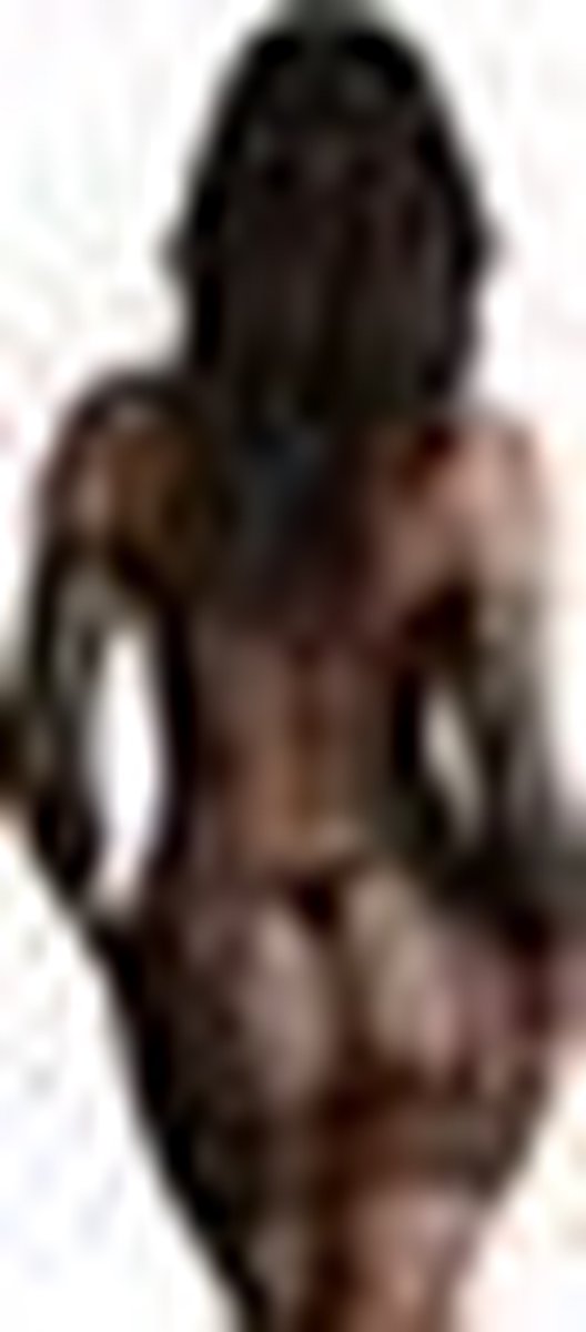 Le Desir Net Mini Jurkje - Zwart