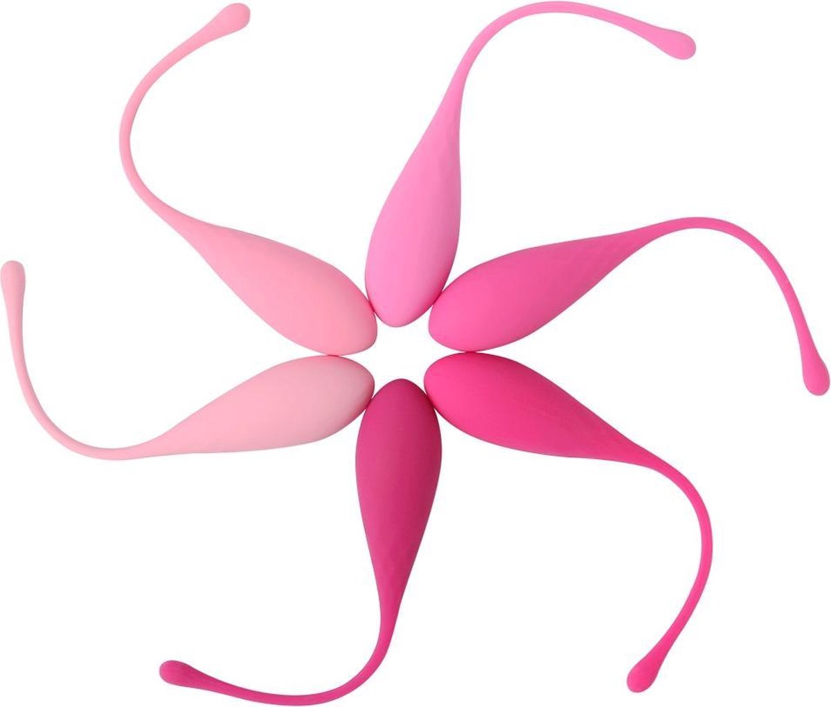 Feelz Toys Femmefit Trainingset 6 pc