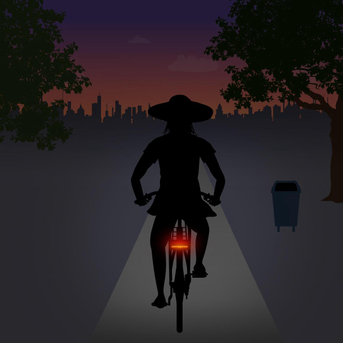 Spanninga SoloXE E-bike achterlicht - Rood