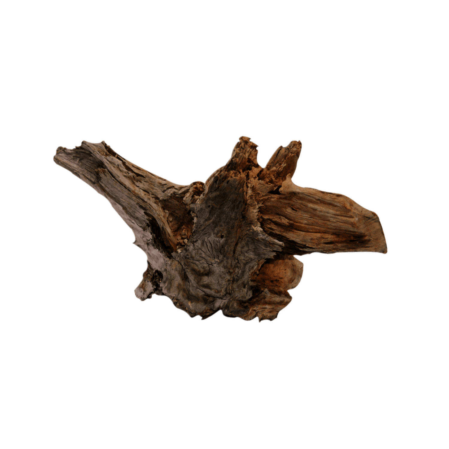 Superfish Driftwood L Aquaria - Bruin