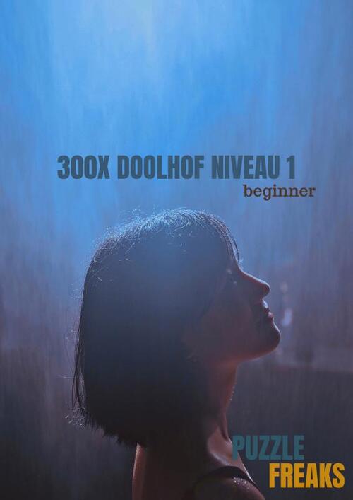 Brave New Books 300X Doolhof Niveau 1