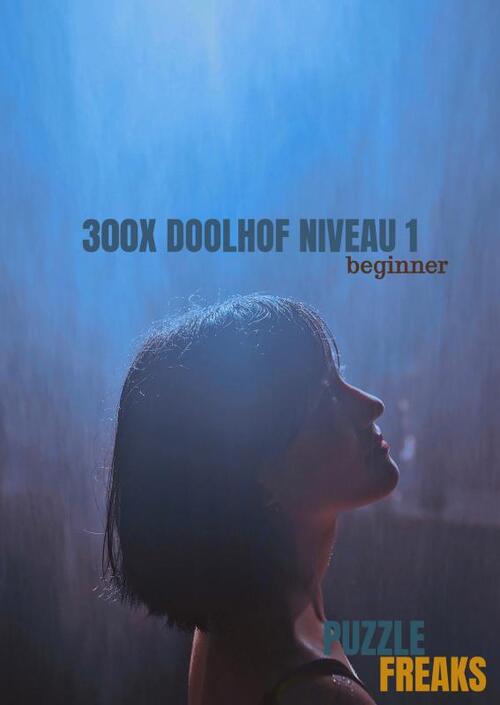 Brave New Books 300X Doolhof Niveau 1